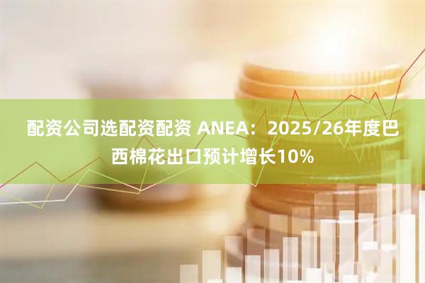 配资公司选配资配资 ANEA：2025/26年度巴西棉花出口预计增长10%
